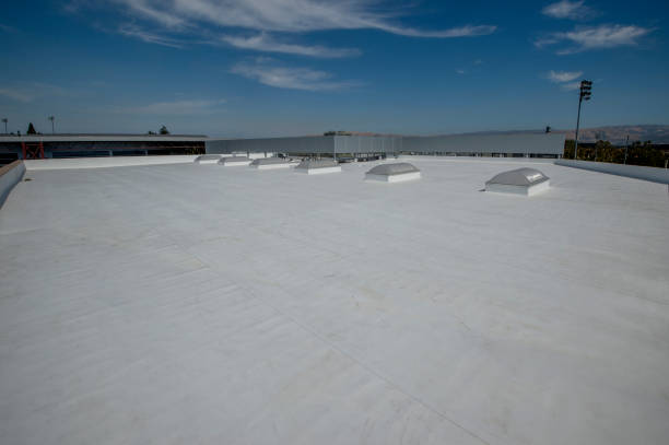 Best Chimney Flashing Repair  in Daleville, VA
