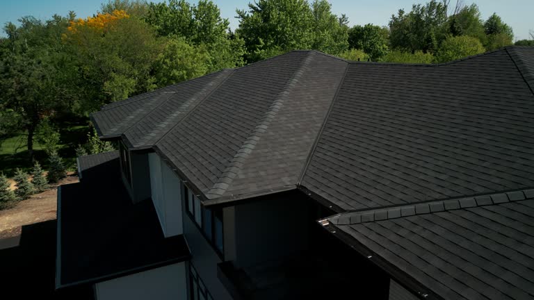 Best Solar Panel Roofing Installation  in Daleville, VA