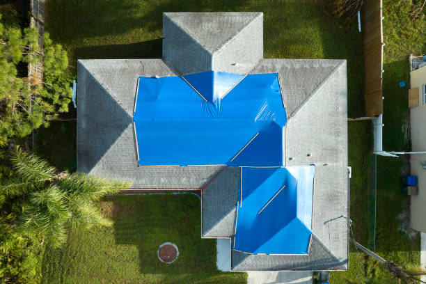 Best Emergency Roof Repair Services  in Daleville, VA