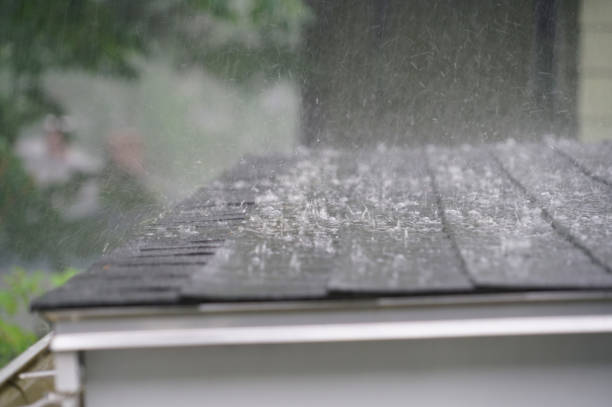 Best Roof Installation  in Daleville, VA